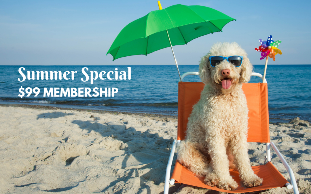 Special Summer Membership Deal